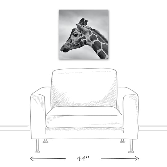 Giraffe Photography 20" x 20" Canvas Wall Art